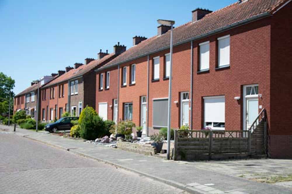 Bomenwijk